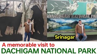 dachigam National Park Srinagar nationalpark dachigam [upl. by Hay]