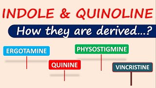 Indole and Quinoline alkaloids  How they are derived [upl. by Ellemrac]