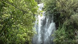 Waitanguru Falls New Zealand [upl. by Tteirrah]