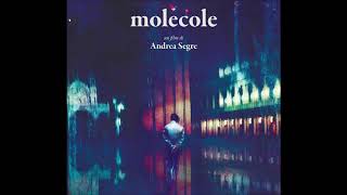 2020 12 16  Andrea Segre  molecole [upl. by Neelrac]