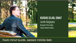 Kuidas elad ema  JANEK VALGEPEA [upl. by Colis]