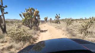 New TRX amp Ford Raptor on the Mojave trail [upl. by Allyson889]