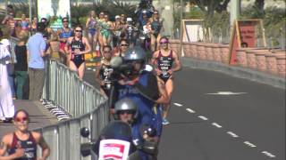 2015 IPIC ITU World Triathlon Abu Dhabi  Elite Womens Highlights [upl. by Sebbie]