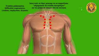 Quels sont les points à connaître pour traiter les troubles respiratoires le magnétisme humain [upl. by Den]