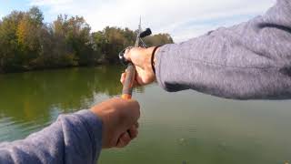 Lipless crankbait gets slammed [upl. by Atinav]