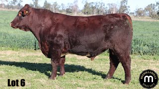 Lot 06 Weebollabolla Trutest AGFT168 PRLW [upl. by Janaye]