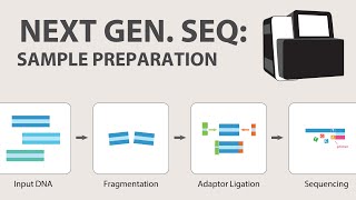 2 Next Generation Sequencing NGS  Sample Preparation [upl. by Longwood]