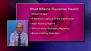 Maternity Care Healthy Placenta [upl. by Swain]