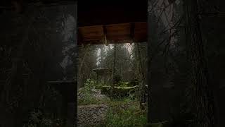 This Unreal Engine 5 Forest is Saturated with LIFE 🌲 8K60FPS Will Leave You Stunned [upl. by Anhej409]