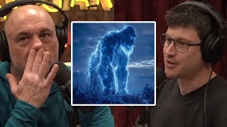 A Different Theory On What Bigfoot Is  Joe Rogan amp Bob Gymlan [upl. by Farkas]