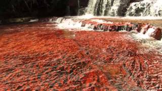 Quebrada de Jaspe  Gran Sabana  Edo Bolivar Venezuela [upl. by Esnohpla]