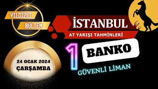 24 Ocak 2024 Çarşamba İstanbul At Yarışı Tahminleri [upl. by Ynagoham]