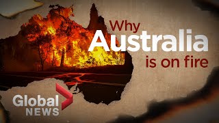 Bushfires in Australia What ignited the deadly crisis [upl. by Zanas]