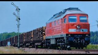 Jensis Welt SpezialQuassel Video Montag 172024Teil 1Trainspotting und mehr [upl. by Naget]