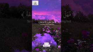 Raad Al Kurdis Soulful Recitation of Surah MuhammadRaadAlKurdiSurahMuhammadTilawatQuranRecit [upl. by Drusi]