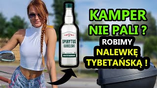 KAMPER NIE PALI robimy nalewkę tybetańską [upl. by Richmound]