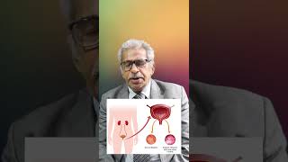 Top homeopathy medicine for ACUTE CYSTITIS  Dr P S Tiwari [upl. by Akenehs]