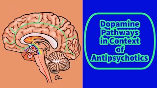 Dopamine Pathways In Context Of Antipsychotics [upl. by Markus]