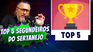 Meu top 5 Segundeiros do sertanejo [upl. by Aloke]