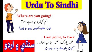 list of sindhi sentences with urdu and English  Sindhi to Urdu sentence [upl. by Isolt]