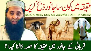 Aqeeqah ka Janwar Kaisa Hona Chahiye  Aqeeqah Ke Masail  Qari Obaid Ur Rahman Yousaf 🕋 [upl. by Ratib]