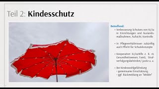 KJSG Was ist neu Kindesschutz Teil 2 [upl. by Welker375]