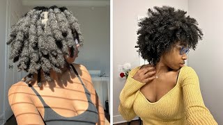 I Combed Out My Thick Locs it took FOREVER [upl. by Anirret]