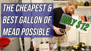 The Cheapest amp Best Gallon of Mead Possible ONLY 12 [upl. by Eryn]