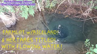 vlog 613 FARMLOTRICELAND W FLOWING WATER 6 HECTARES IN UMINGAN PANGASINANGOOD FOR INVESTMENT [upl. by Oirasan]