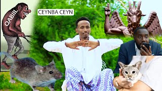 Ceynba Ceyn Dhaanto Cusub Abwaan Cabdi Baag New Video Official Kooxda Qaran Band [upl. by Osnofledi]