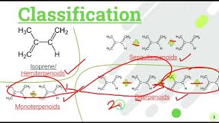 Terpenoids Isoprenoids isoprene polymers  Introduction Classification and biosynthesis and rules [upl. by Gorey358]