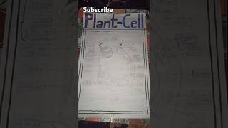 Plant cell diagram youtubeshorts plantcell diagram anisharts7 [upl. by Maggee695]