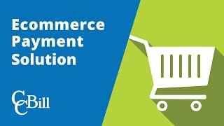 Ecommerce Payment Solution Easy Integrations amp Frictionless Checkouts [upl. by Uria]