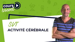 BREVET de SVT  Activité cérébrale [upl. by Tom]