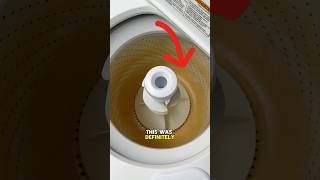 I Saved This Washing Machine cleaning satisfying cleaningtips [upl. by Cutlerr]