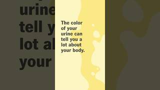 What the color of pee means [upl. by Enayd]