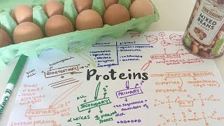 3141 Proteins Revision  AQA ALevel Biology [upl. by Highams]