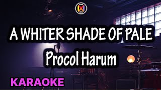 A Whiter Shade Of Pale Karaoke Procol Harum [upl. by Sair]