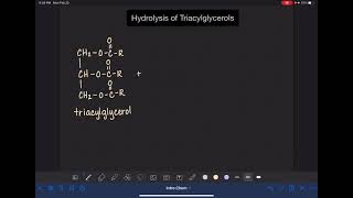 53 Hydrolysis of triacylglycerols [upl. by Adlev]