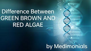 Difference between ChlorophyceaePheophyceae and Rhodophyceae  Plant kingdom Algae [upl. by Royo]