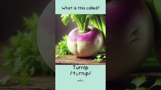 Top Vegetable Words for English Learners 🥬🥕 learnenglish vocabulary englishvocabulary [upl. by Edholm]