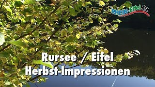 Rursee  Herbstmotive  Musikversion  RheinEifelTV [upl. by Adiari]