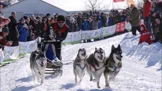 Schlittenhunderennen Clausthal Zellerfeld 2015 Harz [upl. by Airyk]