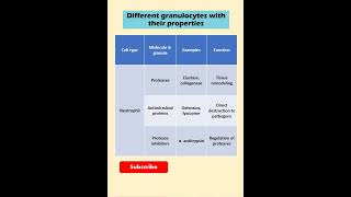 Immunological essentials granulocytes with their functions shorts shortsvideo lifescience [upl. by Leo83]