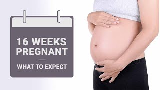 16 Weeks Pregnant  What to Expect [upl. by Ataliah317]