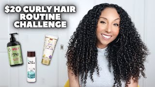 20 Curly Hair Routine Challenge  BiancaReneeToday [upl. by Hayarahs503]