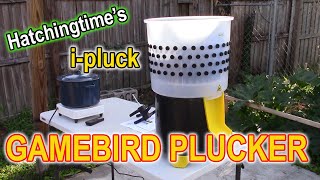 i  pluck GAMEBIRD PLUCKER  Demo [upl. by Hilarius]