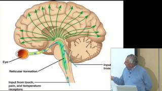 Consciousness amp Physiology I [upl. by Maura576]