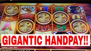 GIGANTIC 1ST HANDPAY  15 BUFFALO GOLD HEADS  REDTINT LOVES SLOTS [upl. by Laurella]