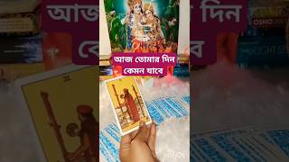 Ajker dinti kemon jabe💫 tarot tarotreading আপনারদিনকেমনযাবে টাইমলেসতারোত্রেডিং tarotdivine555 [upl. by Mcadams]